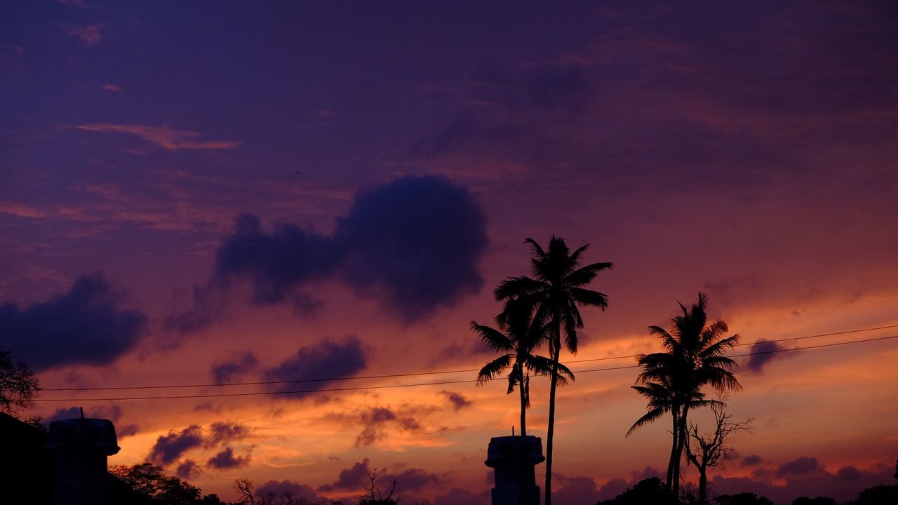 Low angle view of silhouette palm trees against dramatic sky