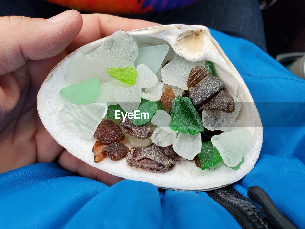 Midsection of person holding shell and sea glass