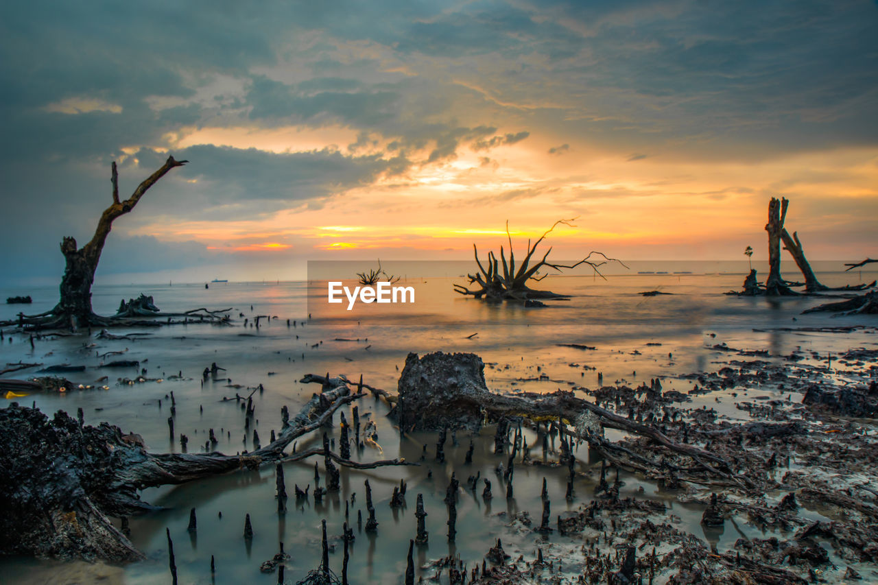 Scenic view of sea against sky during sunset