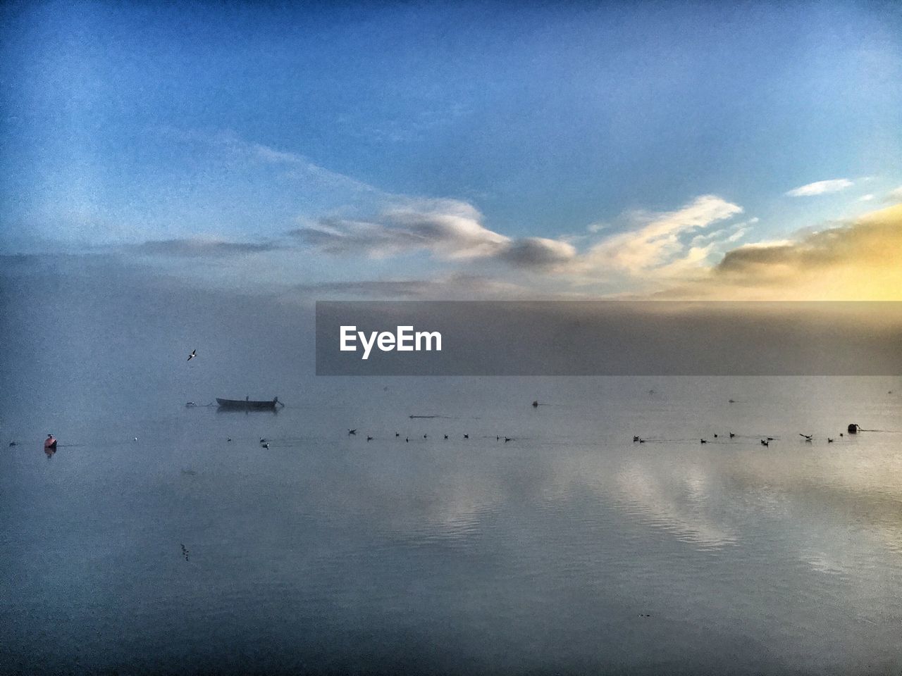 Flock of ducks swimming in lake against cloudy sky