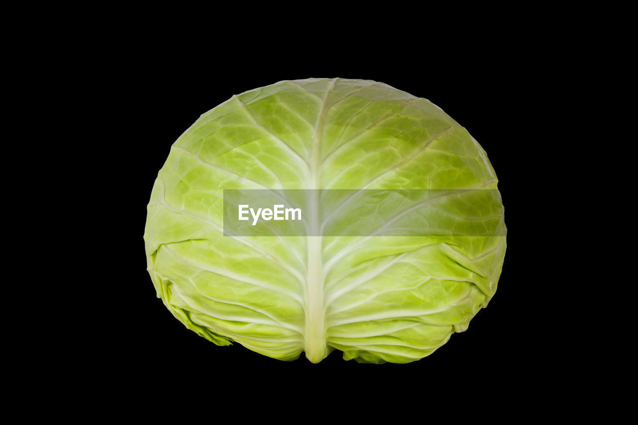 A head of fresh cabbage isolated on a black background close-up