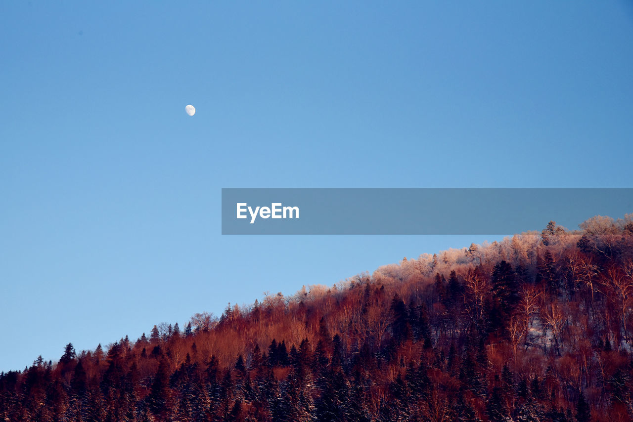 SCENIC VIEW OF LANDSCAPE AGAINST CLEAR SKY