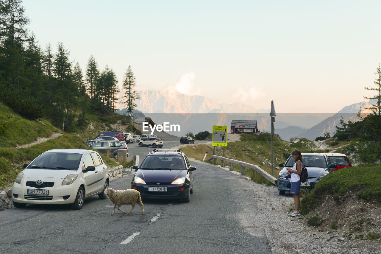 ROAD PASSING THROUGH MOUNTAINS