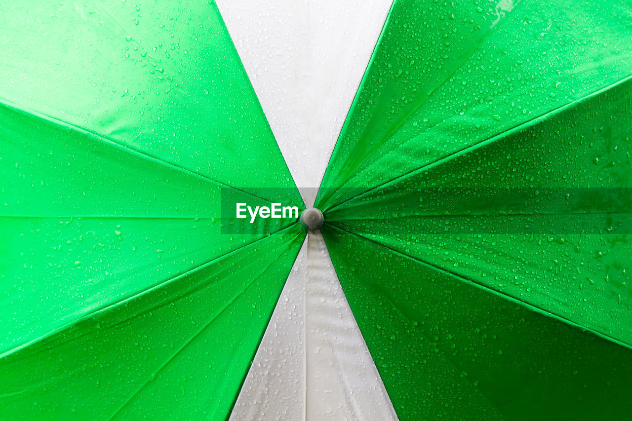 HIGH ANGLE VIEW OF WET LEAF ON WATER