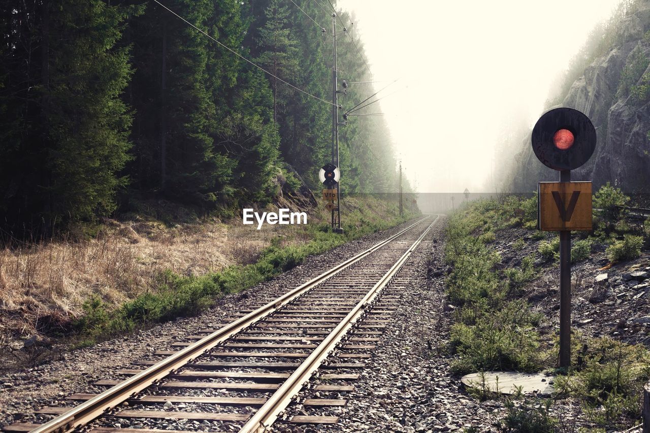 Railroad track amidst trees against clear sky