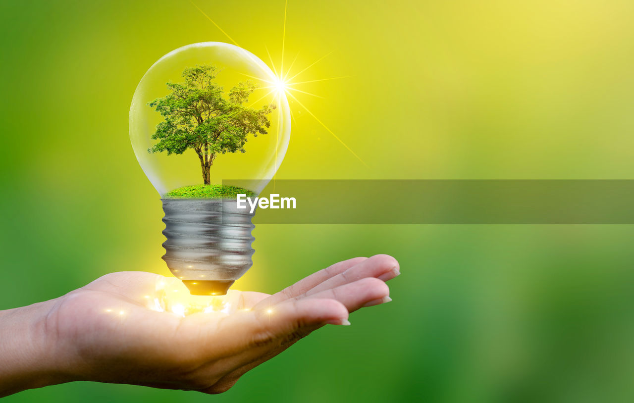 Digital composite image of cropped hand holding light bulb with tree