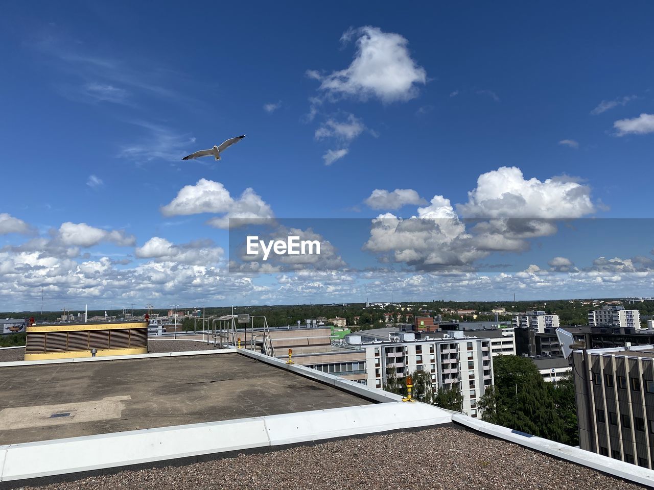 BIRDS FLYING OVER ROAD AGAINST SKY