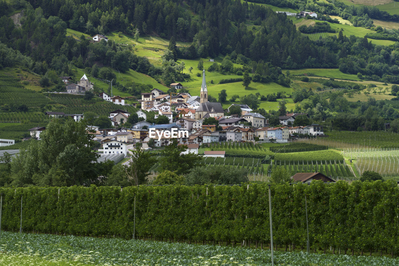 HIGH ANGLE VIEW OF TREES AND HOUSES ON FIELD AGAINST VILLAGE