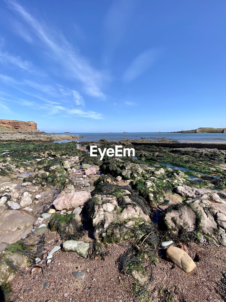 Scenic view of beach against blue sky