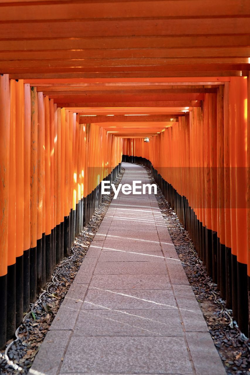 Torii tunnel of fushini inari taisha