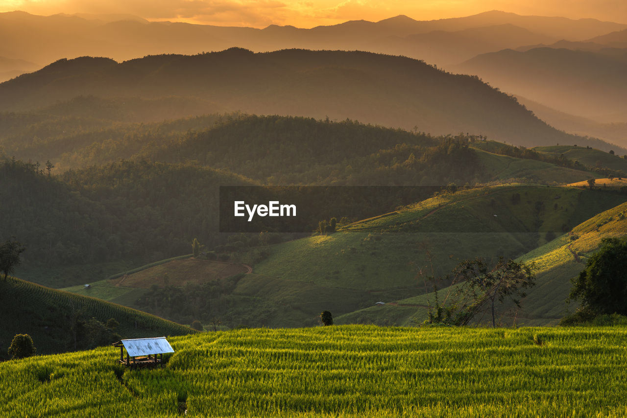 Scenic view of field against mountains