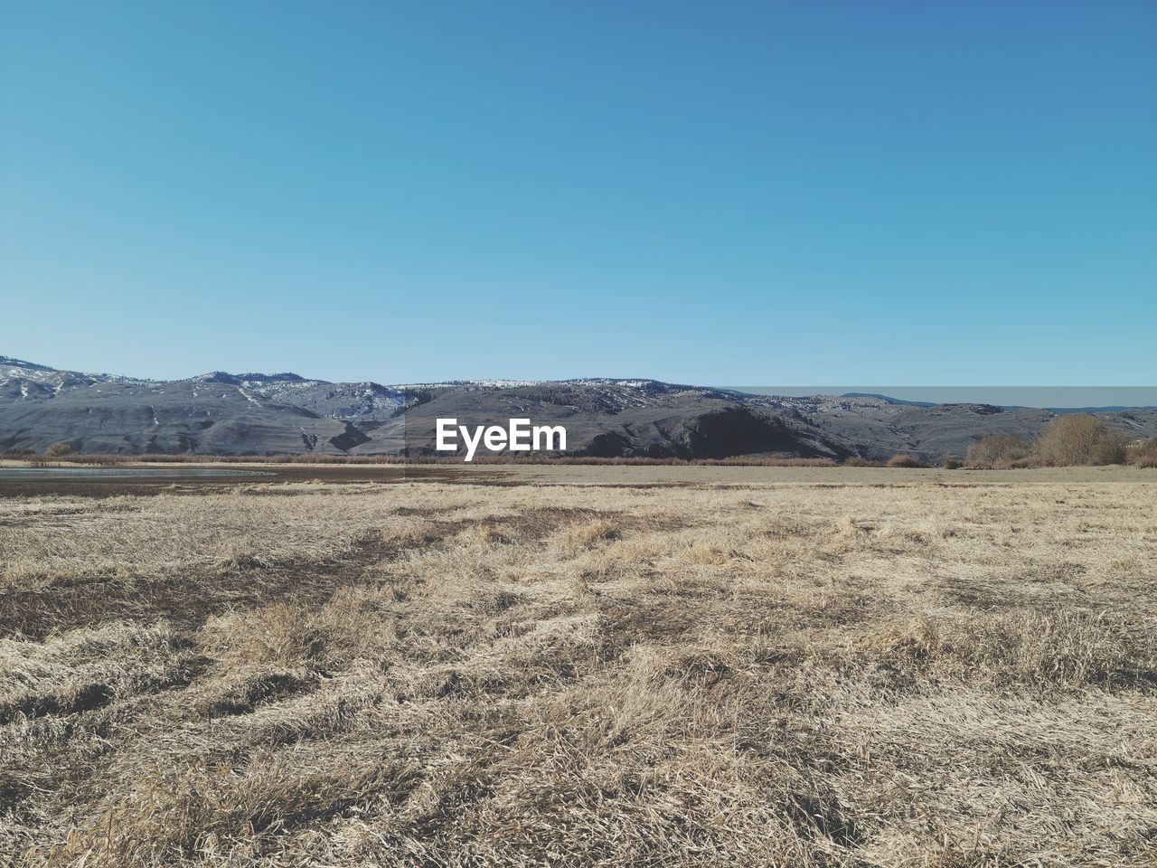 Scenic view of field against clear blue sky