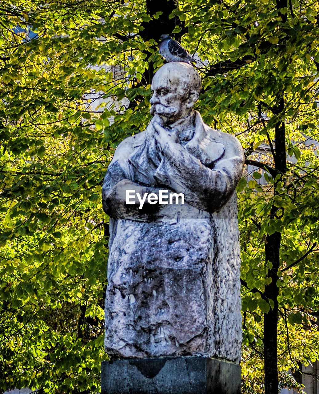 STATUE ON STONE IN GARDEN