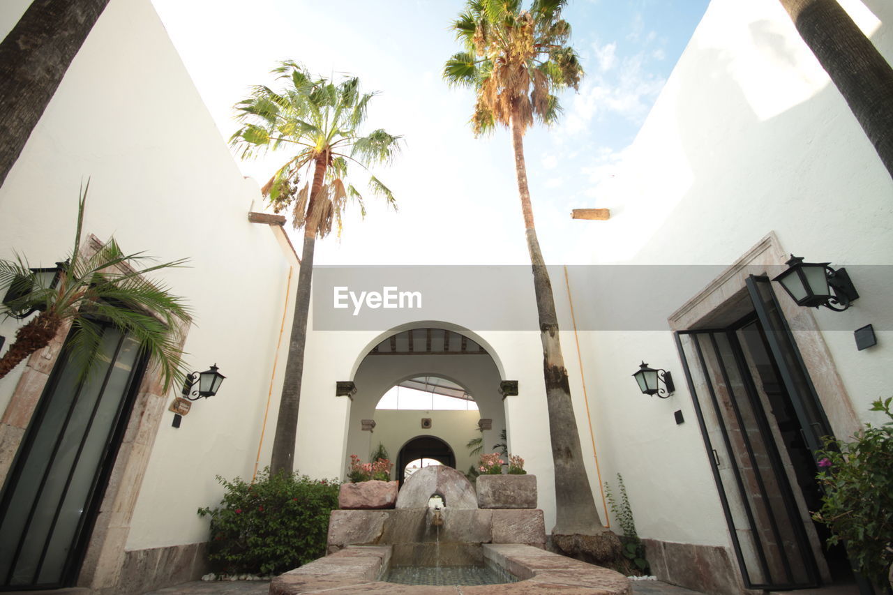 REAR VIEW OF PEOPLE ON BUILDING BY PALM TREES AND PLANTS