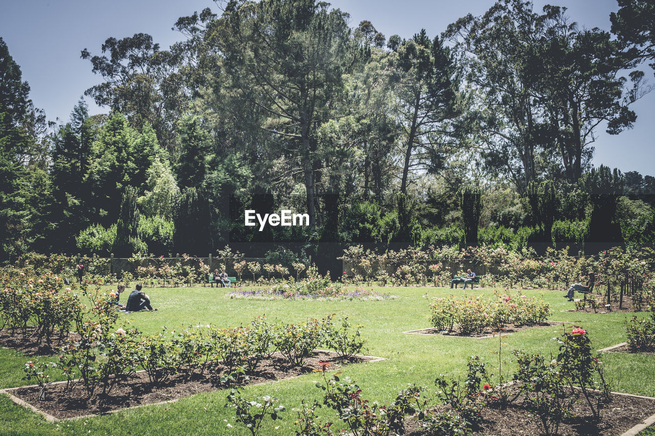 People resting in park