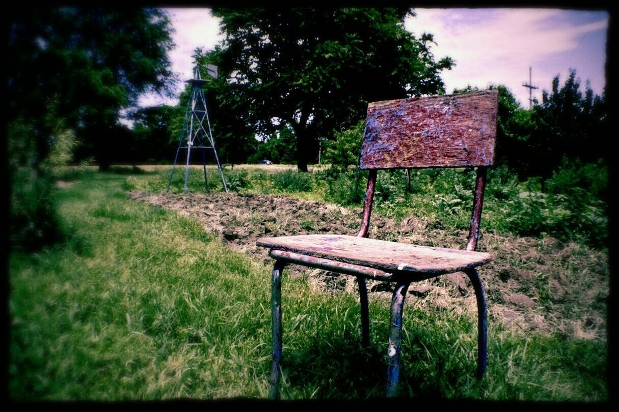 EMPTY PARK BENCH ON GRASSY FIELD