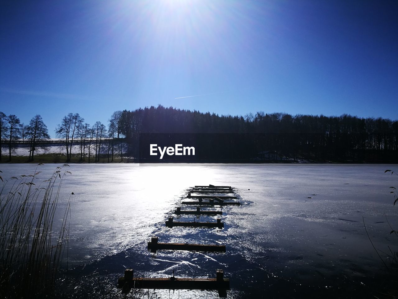 FROZEN LAKE BY TREES AGAINST SKY