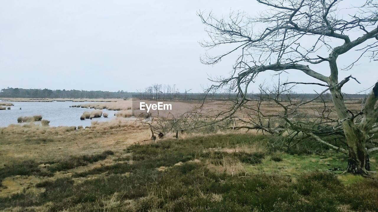 Scenic view of grassy field against cloudy sky