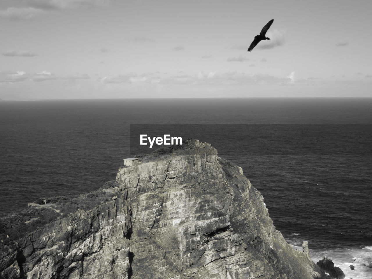 SEAGULL FLYING ABOVE SEA AGAINST SKY