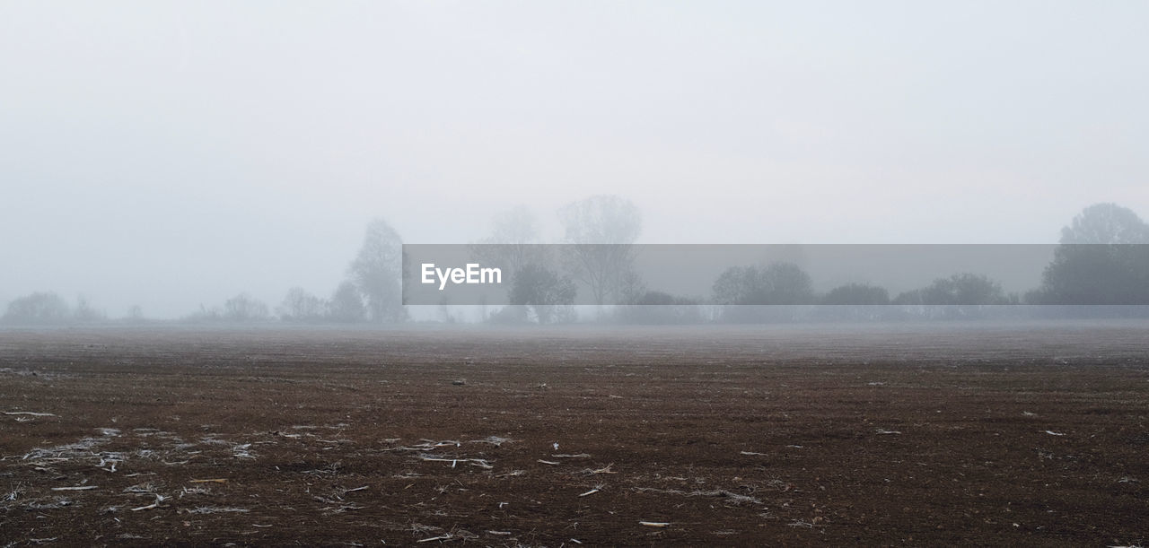 Trees on field against sky during foggy weather