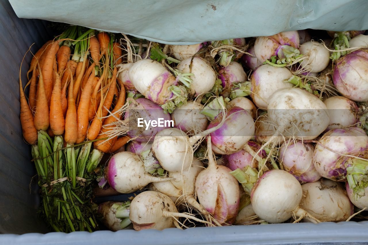 CLOSE-UP OF FRESH VEGETABLES IN CONTAINER