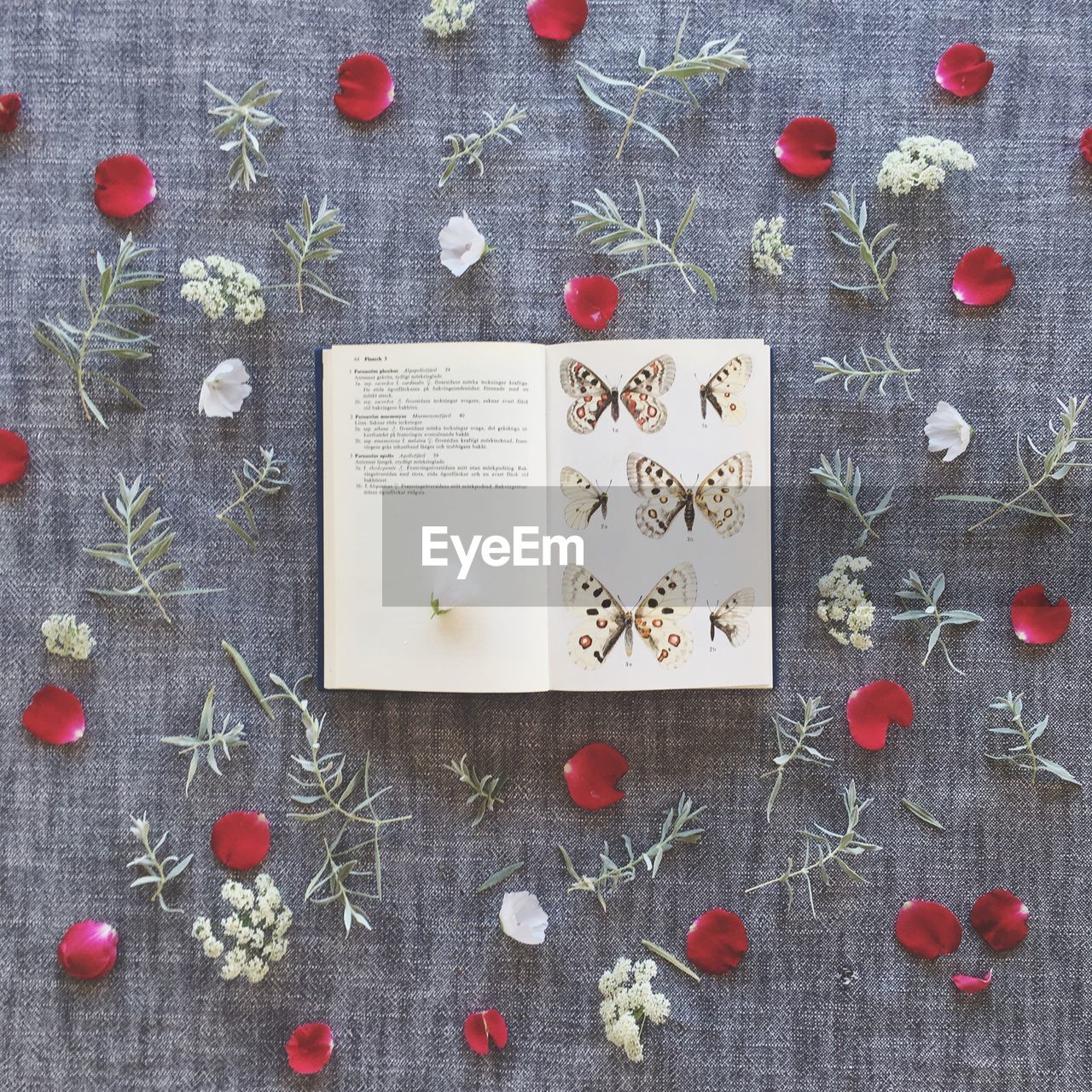 Directly above shot of open book amidst plants and flower petals on table