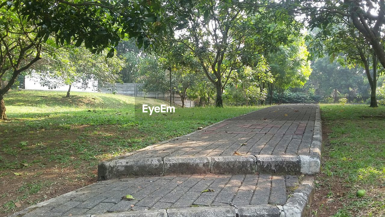 FOOTPATH LEADING TOWARDS TREES