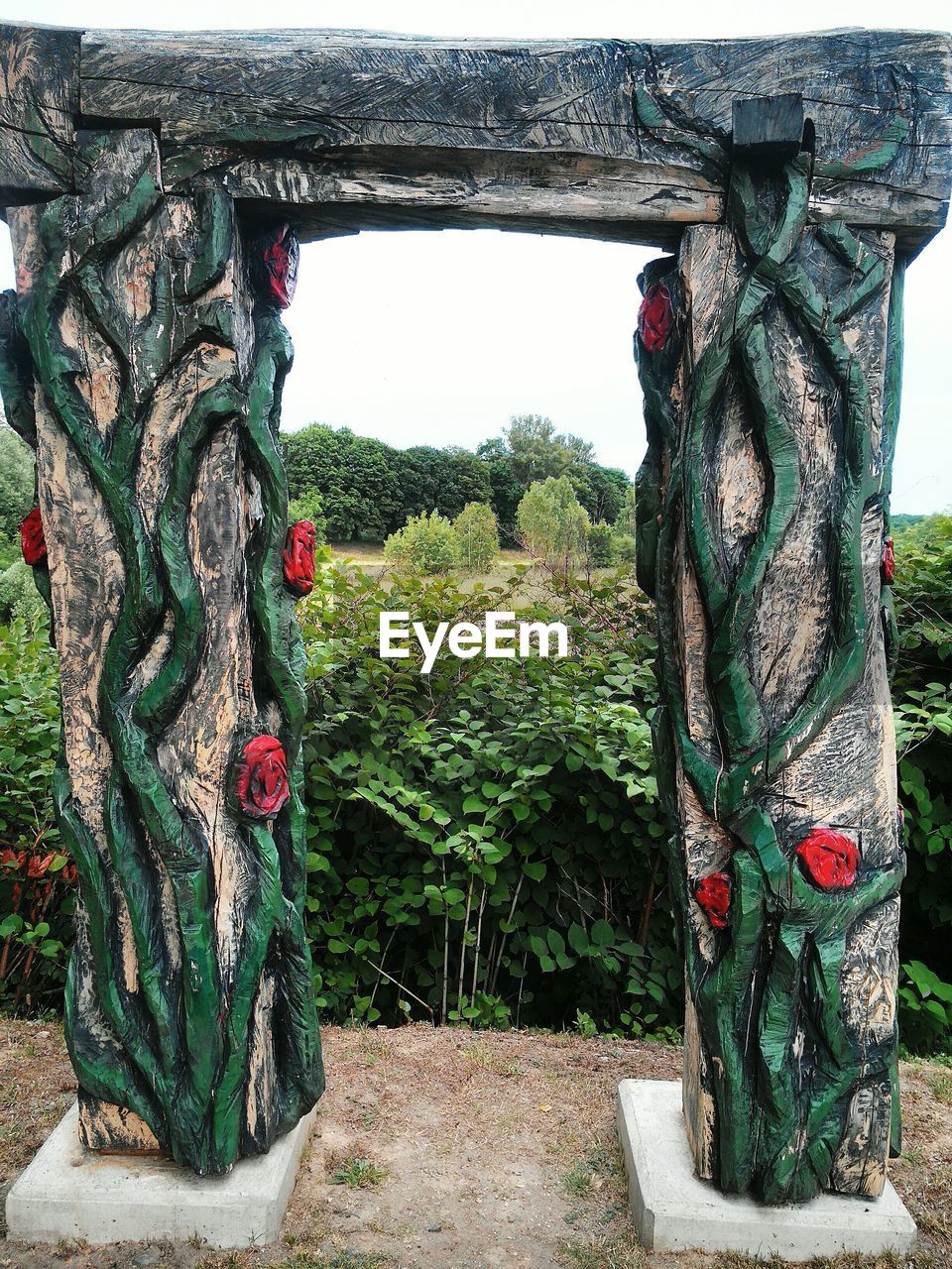 CLOSE-UP OF TREE TRUNK AGAINST PLANTS