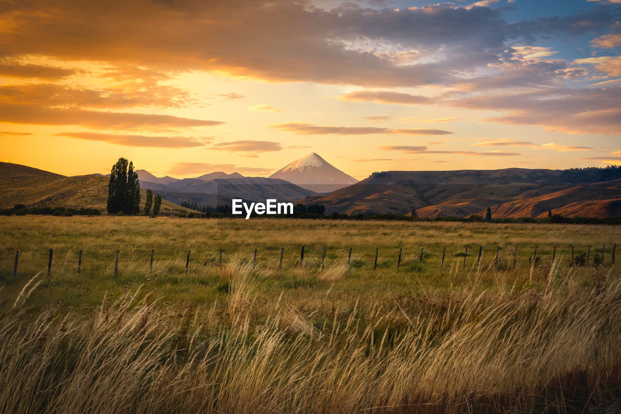 Scenic view of field against sky during sunset