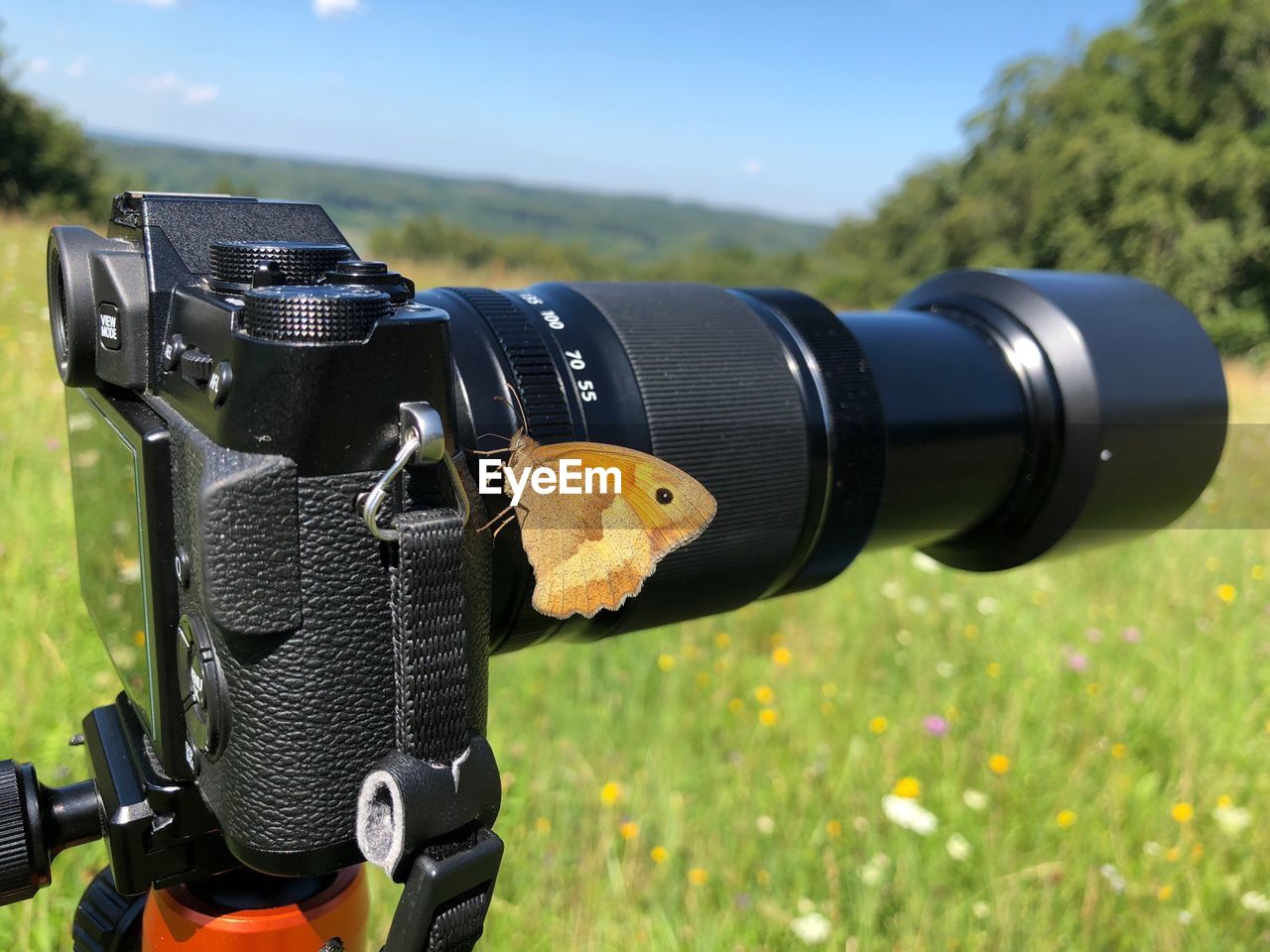 CLOSE-UP OF CAMERA ON FIELD BY LAND