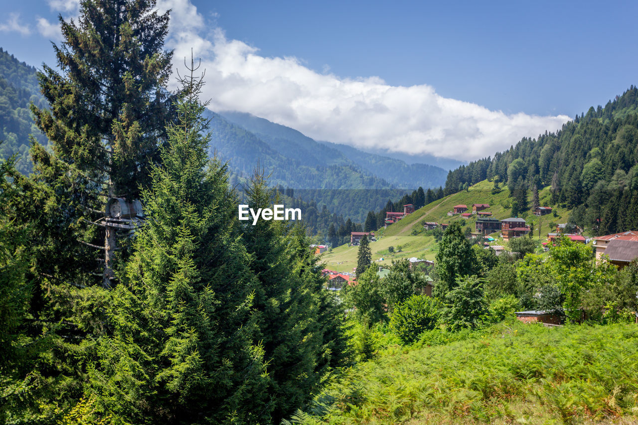 Scenic view of trees and mountains against sky