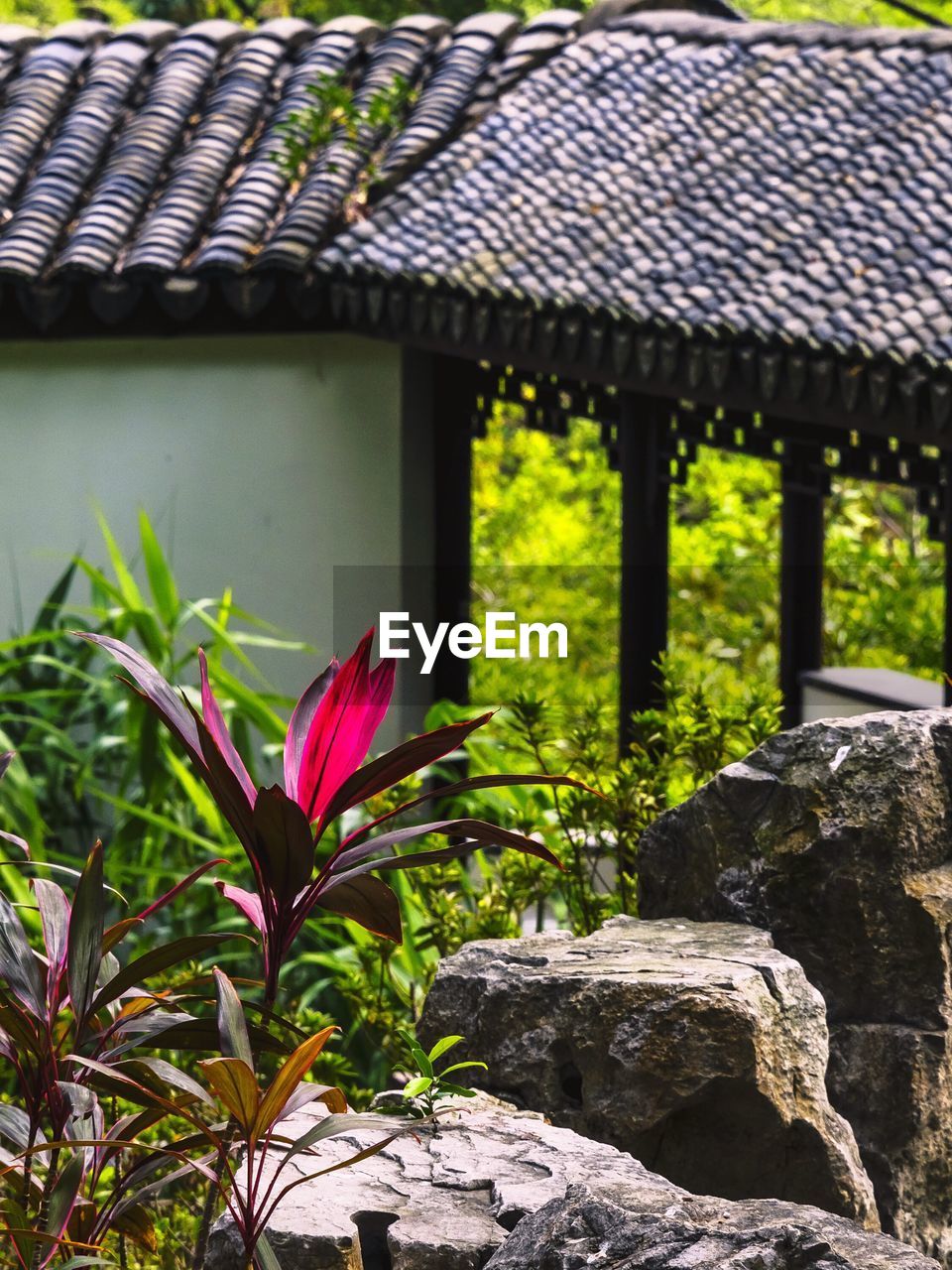 Plants and gazebo at park