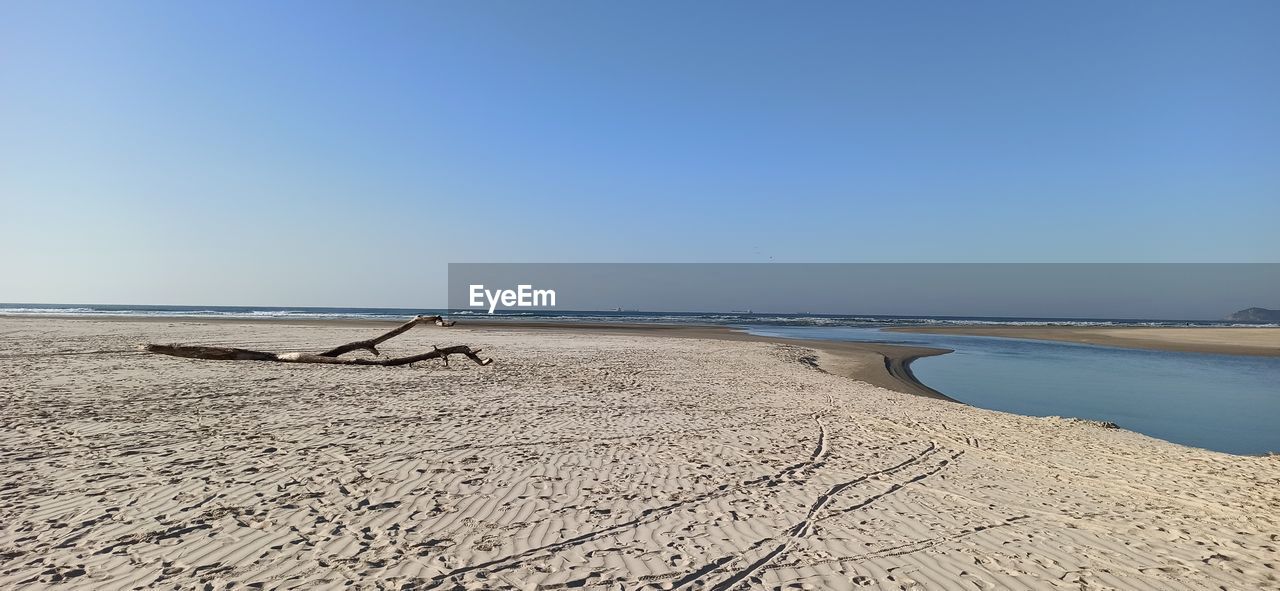 DRIFTWOOD ON BEACH AGAINST CLEAR SKY