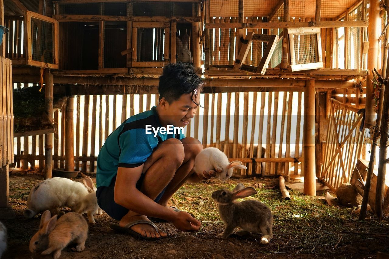 Man with rabbit in pen