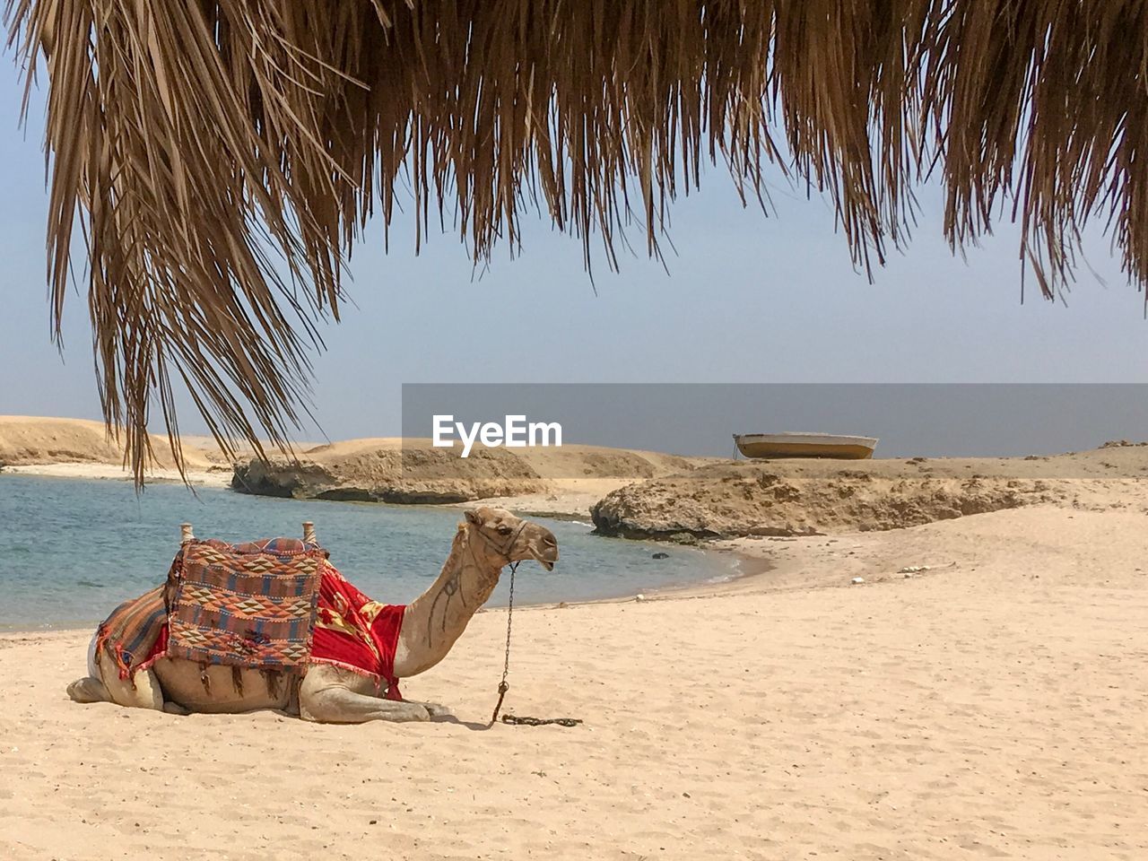 LOUNGE CHAIRS ON BEACH