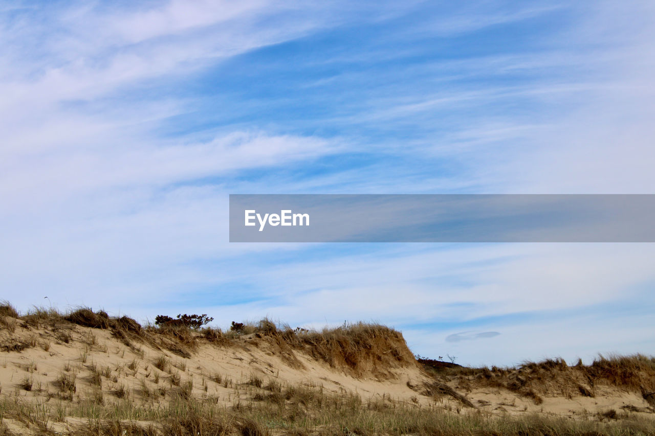 sky, landscape, cloud, natural environment, environment, horizon, land, scenics - nature, nature, plant, grass, beauty in nature, no people, hill, tranquility, steppe, tranquil scene, non-urban scene, grassland, sea, sand, prairie, wilderness, field, day, plateau, plain, blue, outdoors, rural area, semi-arid, travel destinations, animal wildlife, coast, animal, desert, remote