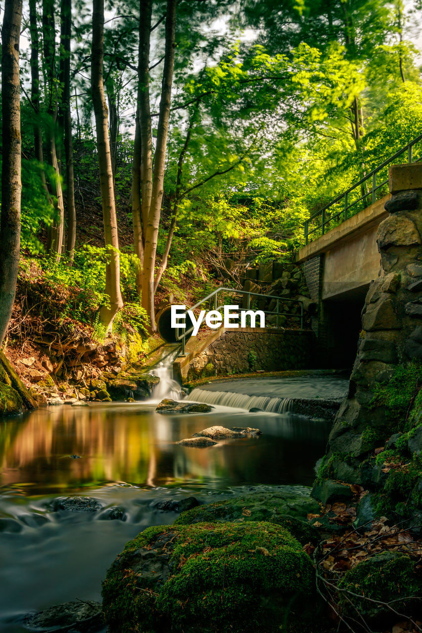 Stream flowing through rocks in forest