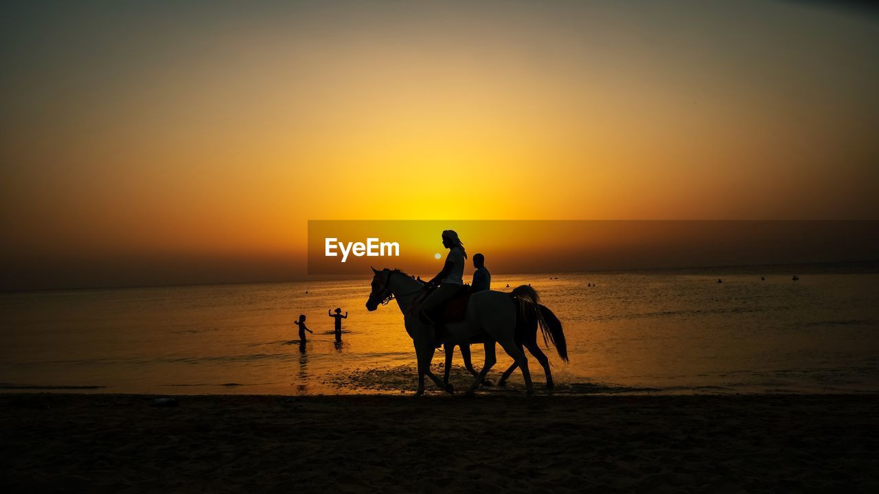 Silhouette riding horse in sea against sunset sky