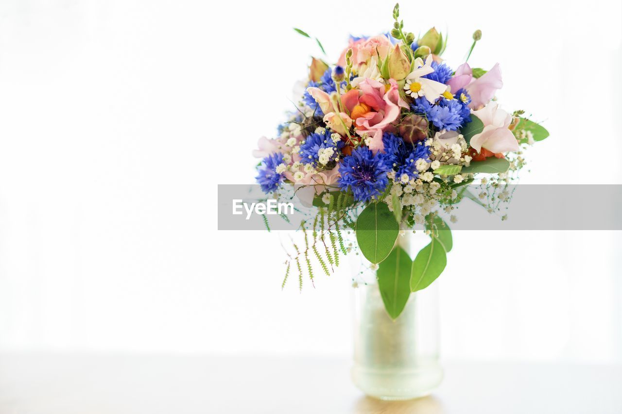 CLOSE-UP OF VASE ON WHITE BACKGROUND