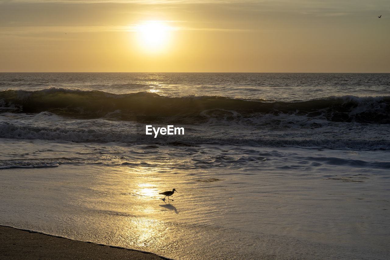 SCENIC VIEW OF BEACH DURING SUNSET