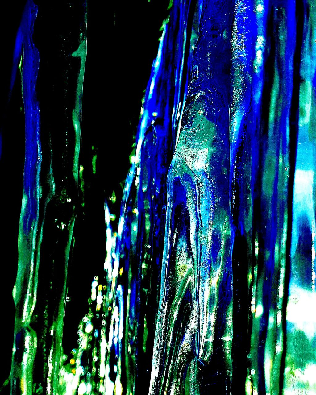 CLOSE-UP OF WATER DROPS ON TREES AGAINST SKY