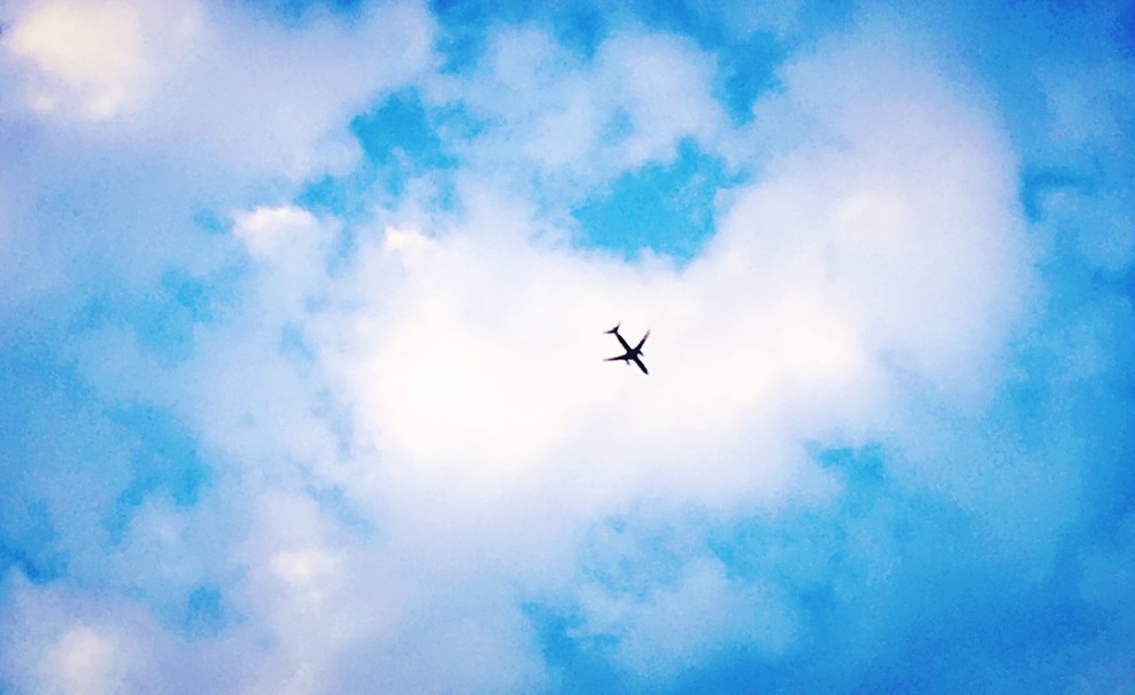 Low angle view of airplane against the sky