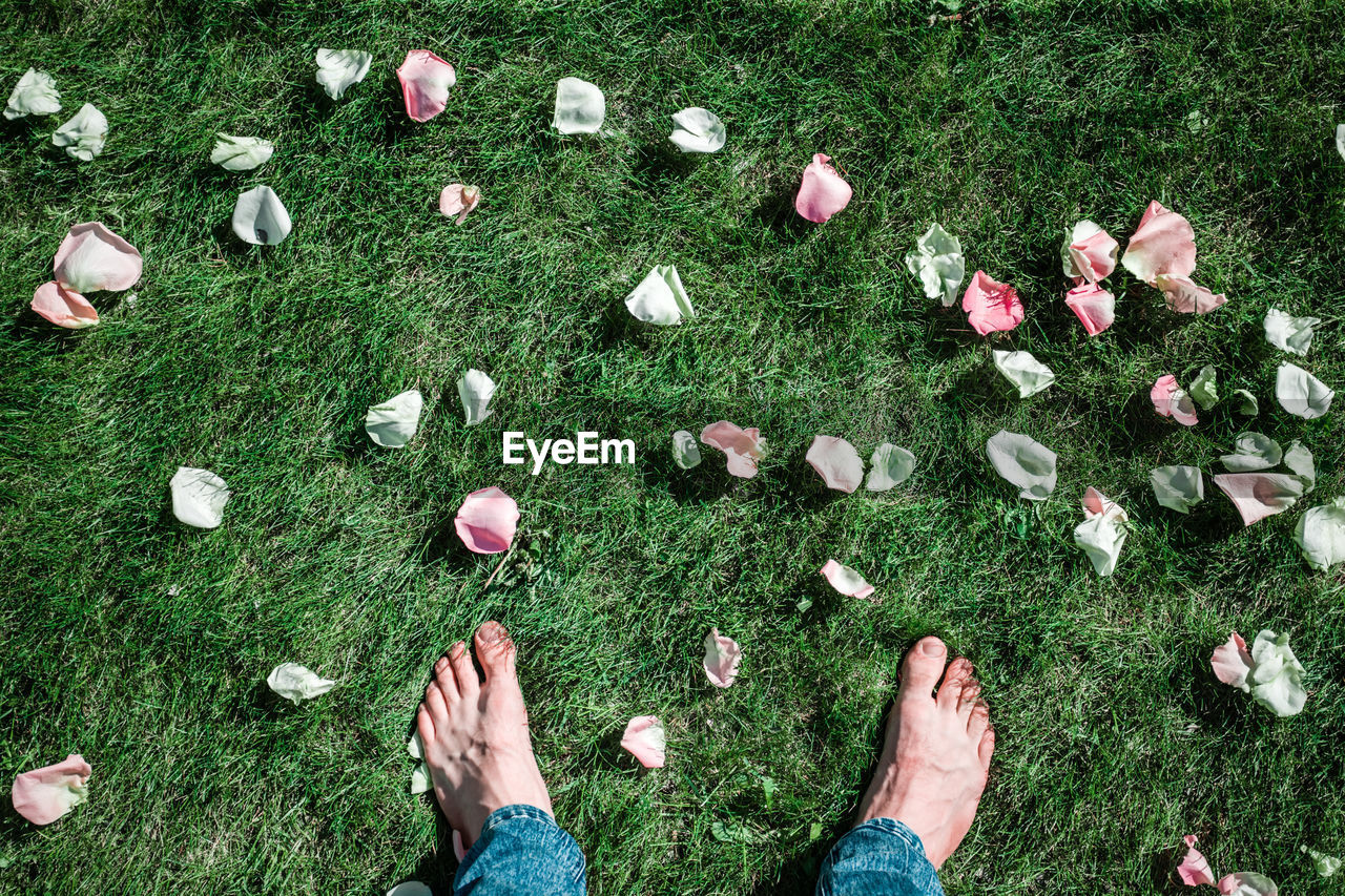 Low section of man standing on grass by flower petal