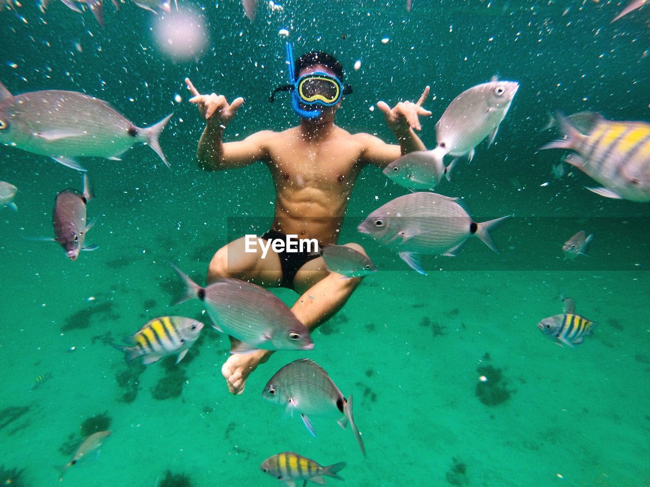 Man snorkeling amidst fishes in sea
