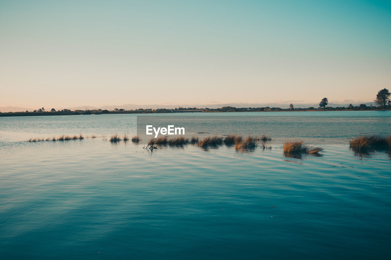 DUCKS SWIMMING IN LAKE AGAINST CLEAR SKY