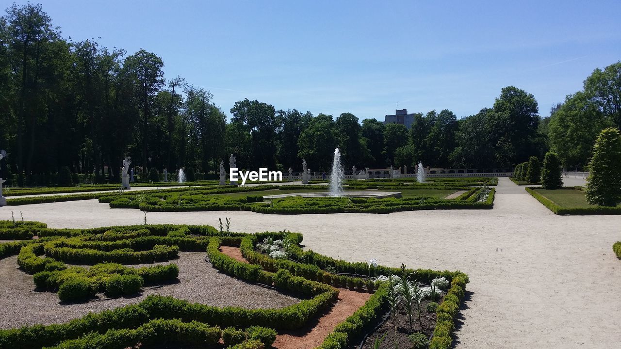 VIEW OF TREES IN PARK