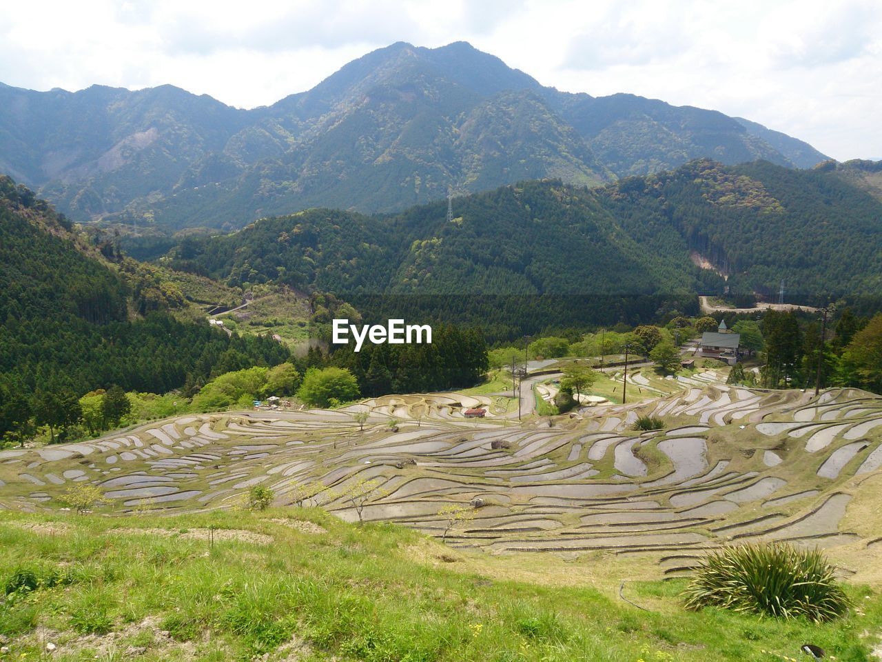 Scenic view of terraced field in japan
