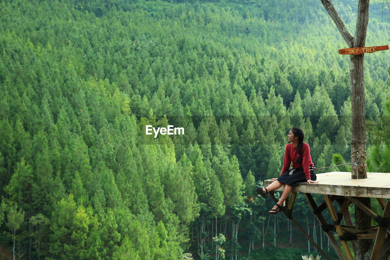 Young woman sitting against trees at forest