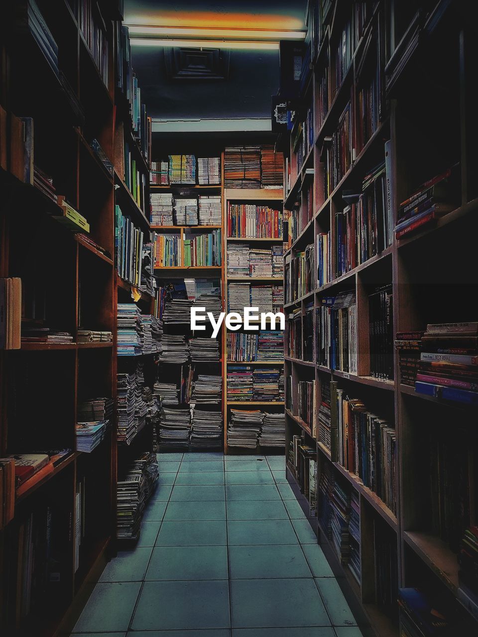 shelf, book, publication, bookshelf, education, library, learning, indoors, large group of objects, bookcase, building, public library, research, in a row, literature, archive, architecture, abundance, no people, university, order, school, wisdom, intelligence