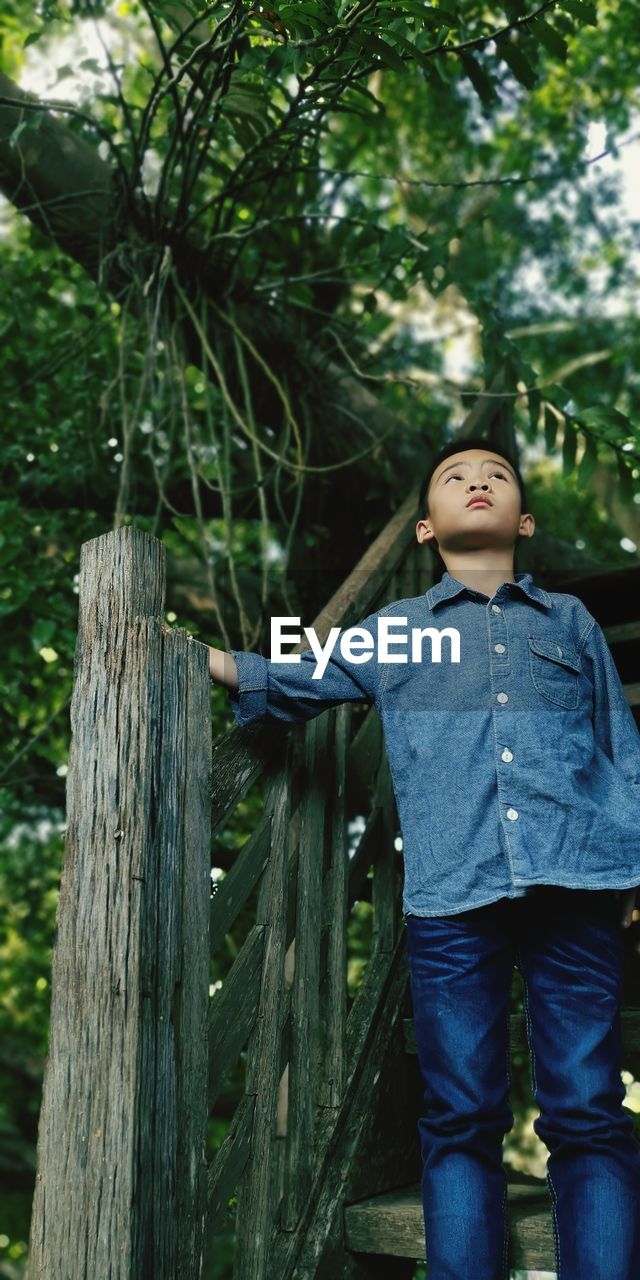 Boy looking away while standing against tree